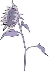 Dessin d'un tournesol dans le footer